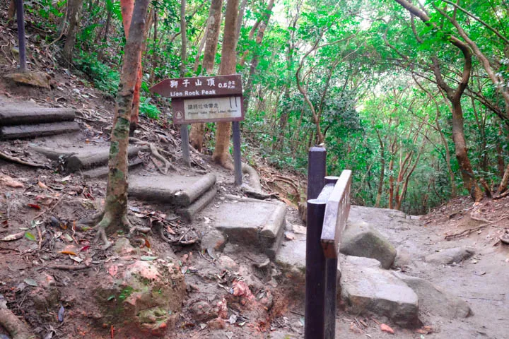 Continue straight for Maclehose Trail Section 5; turn left for Lion Rock Peak.